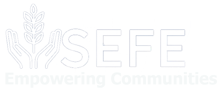SEFE Logo
